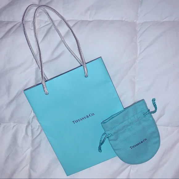 Tiffany & Co. shopping bag and dust bag - Picture 2 of 7